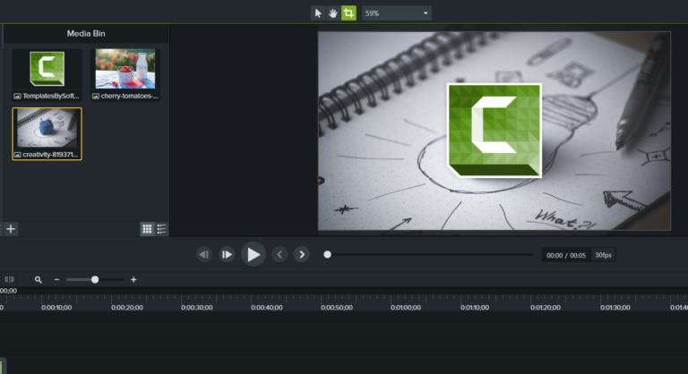 does camtasia come with assets