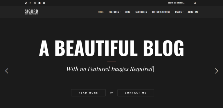 30 Best Of Free WordPress Themes For 2020